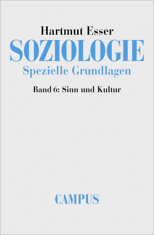 Cover: 9783593371498 | Soziologie. Spezielle Grundlagen | Band 6: Sinn und Kultur | Buch