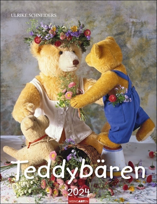 Cover: 9783840085529 | Teddybären-Kalender 2024. Foto-Wandplaner mit niedlichen Teddys....