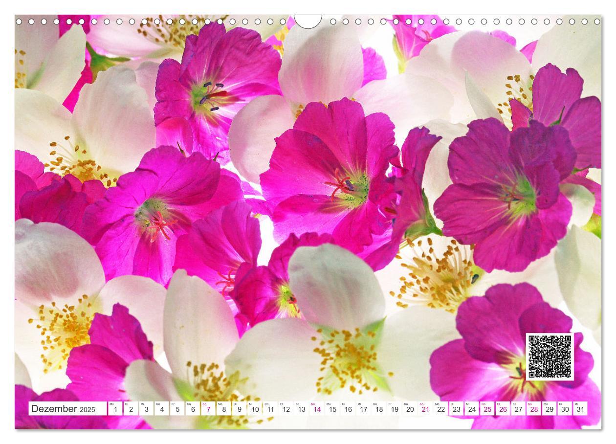 Bild: 9783435029716 | Blumen und dufte Musik (Wandkalender 2025 DIN A3 quer), CALVENDO...