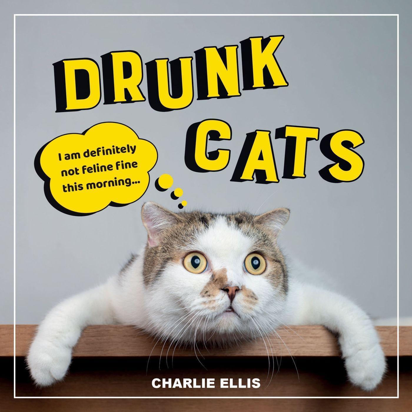 Cover: 9781800070202 | Drunk Cats | Hilarious Snaps of Wasted Cats | Charlie Ellis | Buch