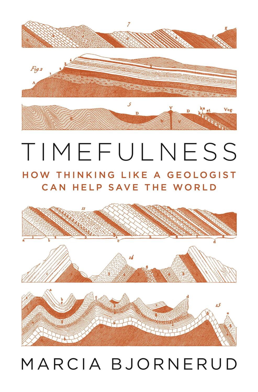 Cover: 9780691181202 | Timefulness | How Thinking Like a Geologist Can Help Save the World