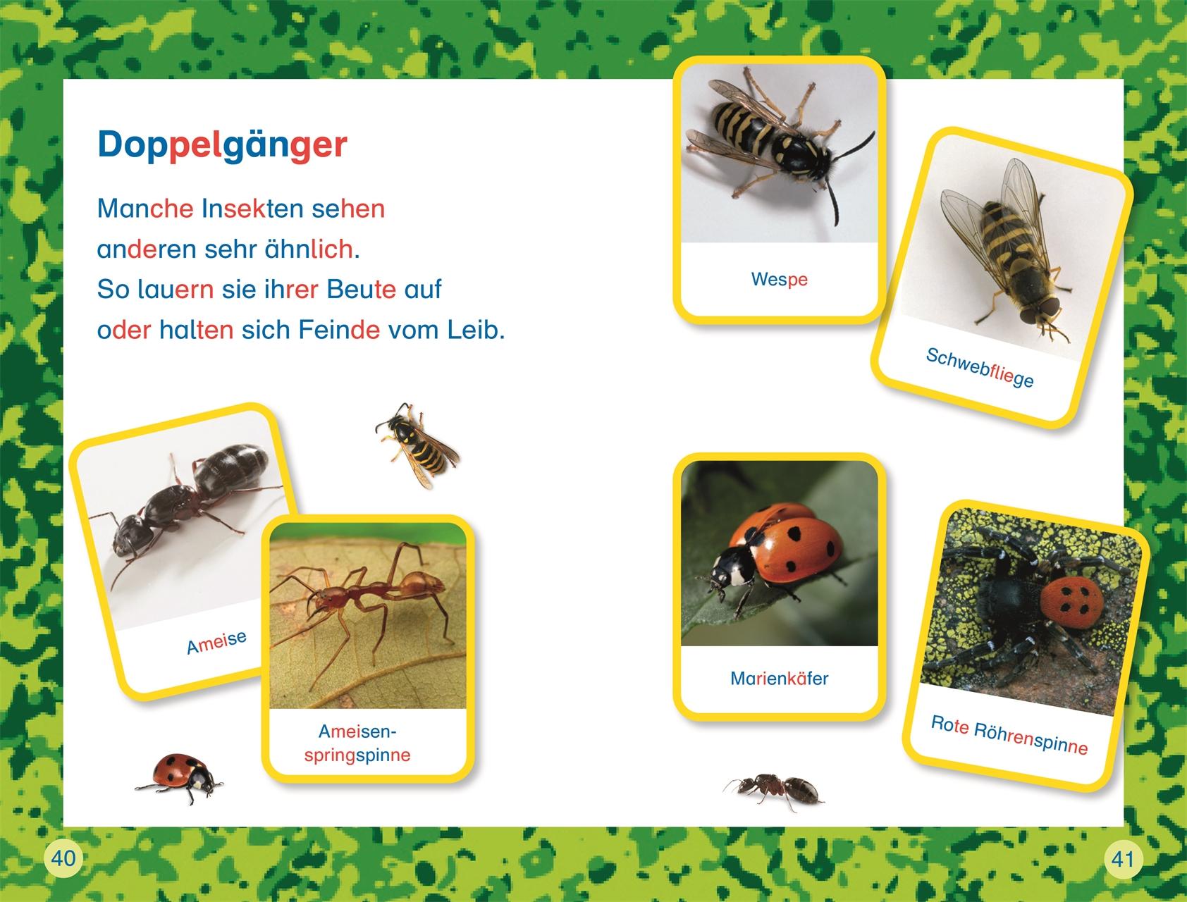 Bild: 9783831044825 | SUPERLESER! Insekten, top getarnt | Laura Buller | Buch | SUPERLESER!