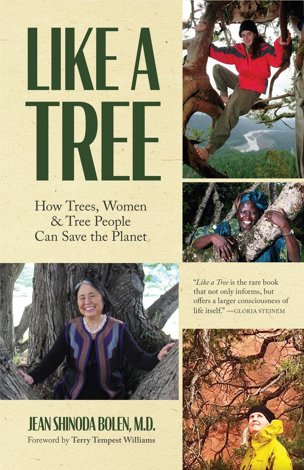 Cover: 9781642504064 | Like a Tree | Jean Shinoda, M.D. Bolen | Taschenbuch | Englisch | 2021