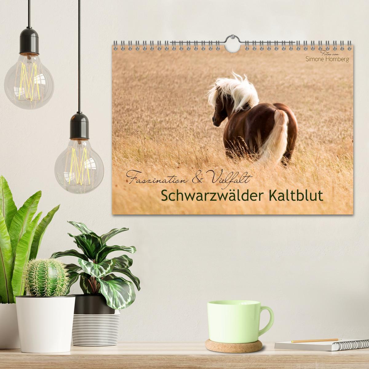 Bild: 9783435336821 | Faszination und Vielfalt - Schwarzwälder Kaltblut (Wandkalender...