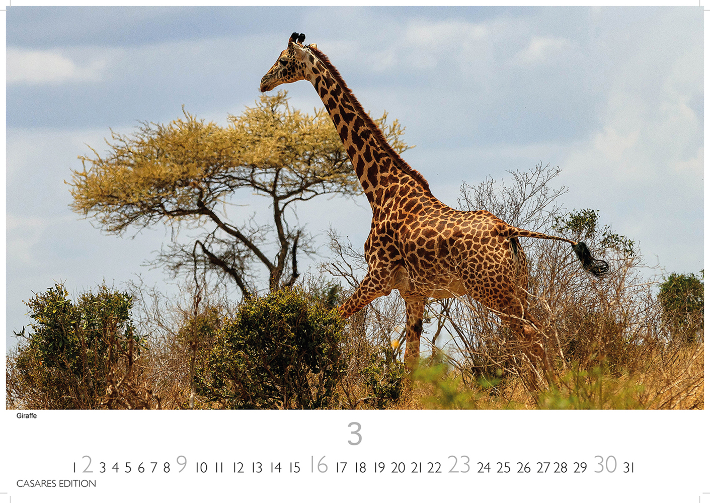 Bild: 9781835240618 | Kenia/Serengeti 2025 S 24x35 cm | Kalender | 14 S. | Deutsch | 2025