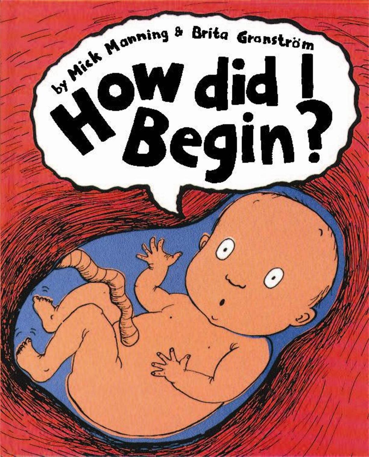 Cover: 9780749656614 | How Did I Begin? | Mick Manning | Taschenbuch | How Did I Begin?