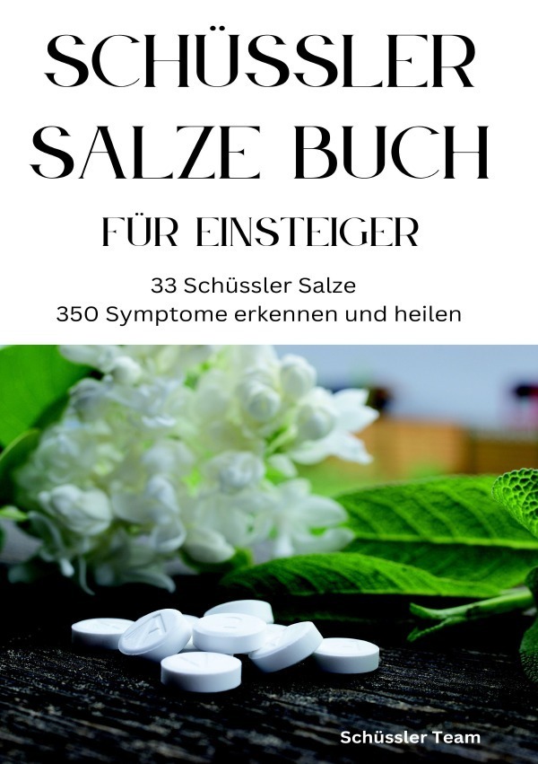 Cover: 9783759806765 | SCHÜSSLER SALZE BUCH FÜR EINSTEIGER: 33 Schüssler Salze &amp; 350...