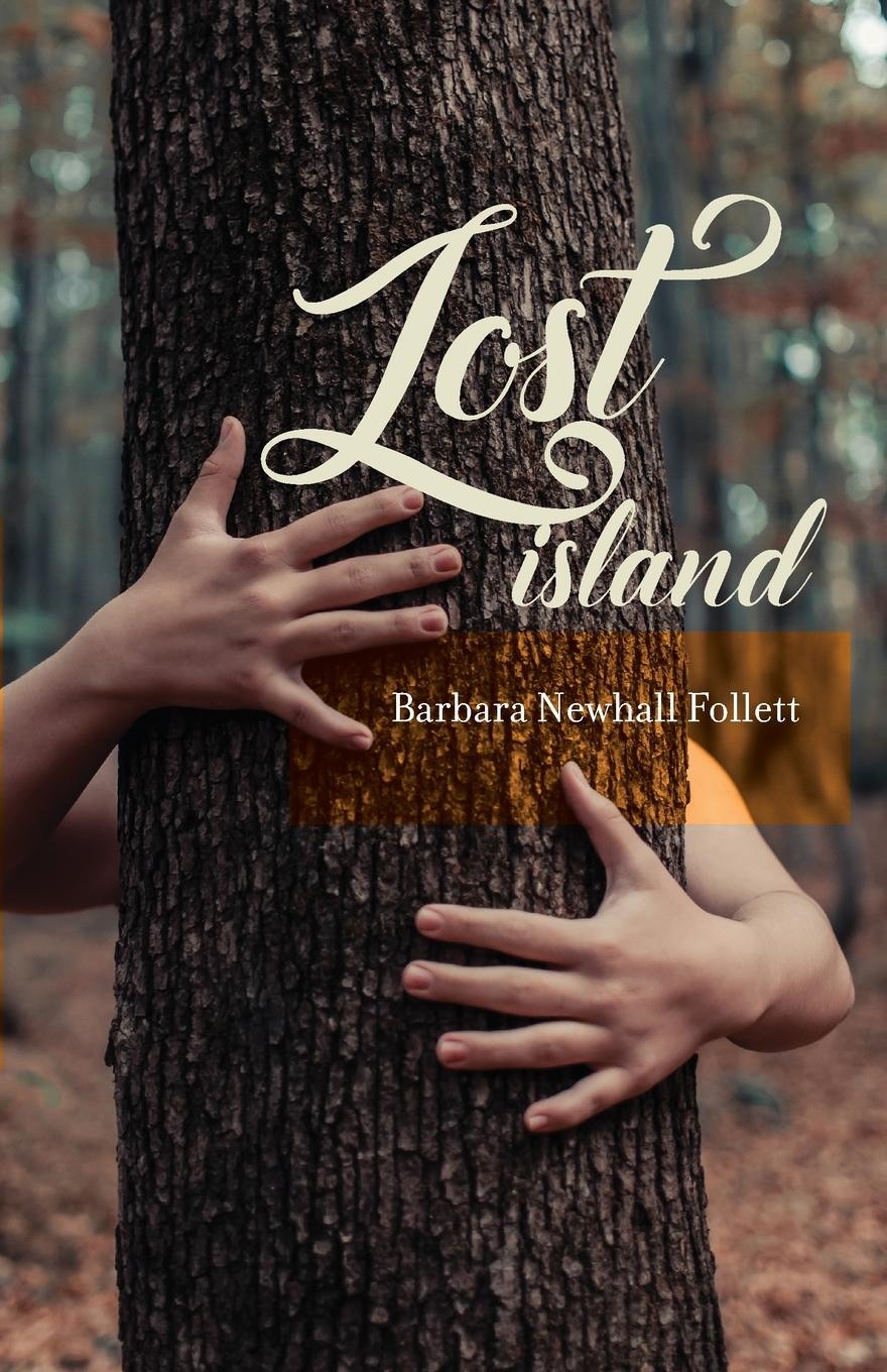 Cover: 9780996243148 | Lost Island | Plus three stories and an afterword | Follett | Buch