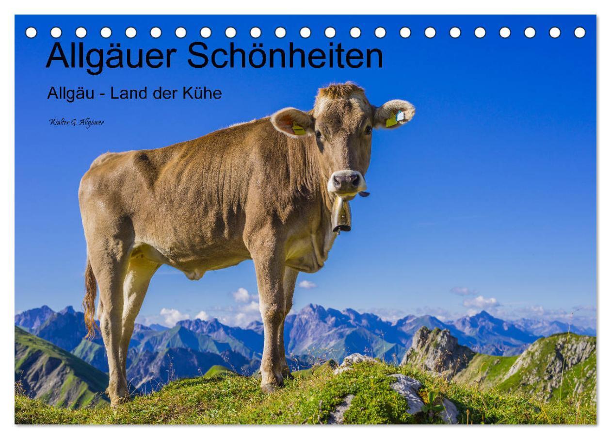 Cover: 9783383137020 | Allgäuer Schönheiten Allgäu - Land der Kühe (Tischkalender 2024 DIN...