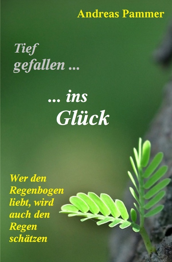 Cover: 9783742702333 | Tief gefallen... ...ins Glück | Andreas Pammer | Taschenbuch | 416 S.