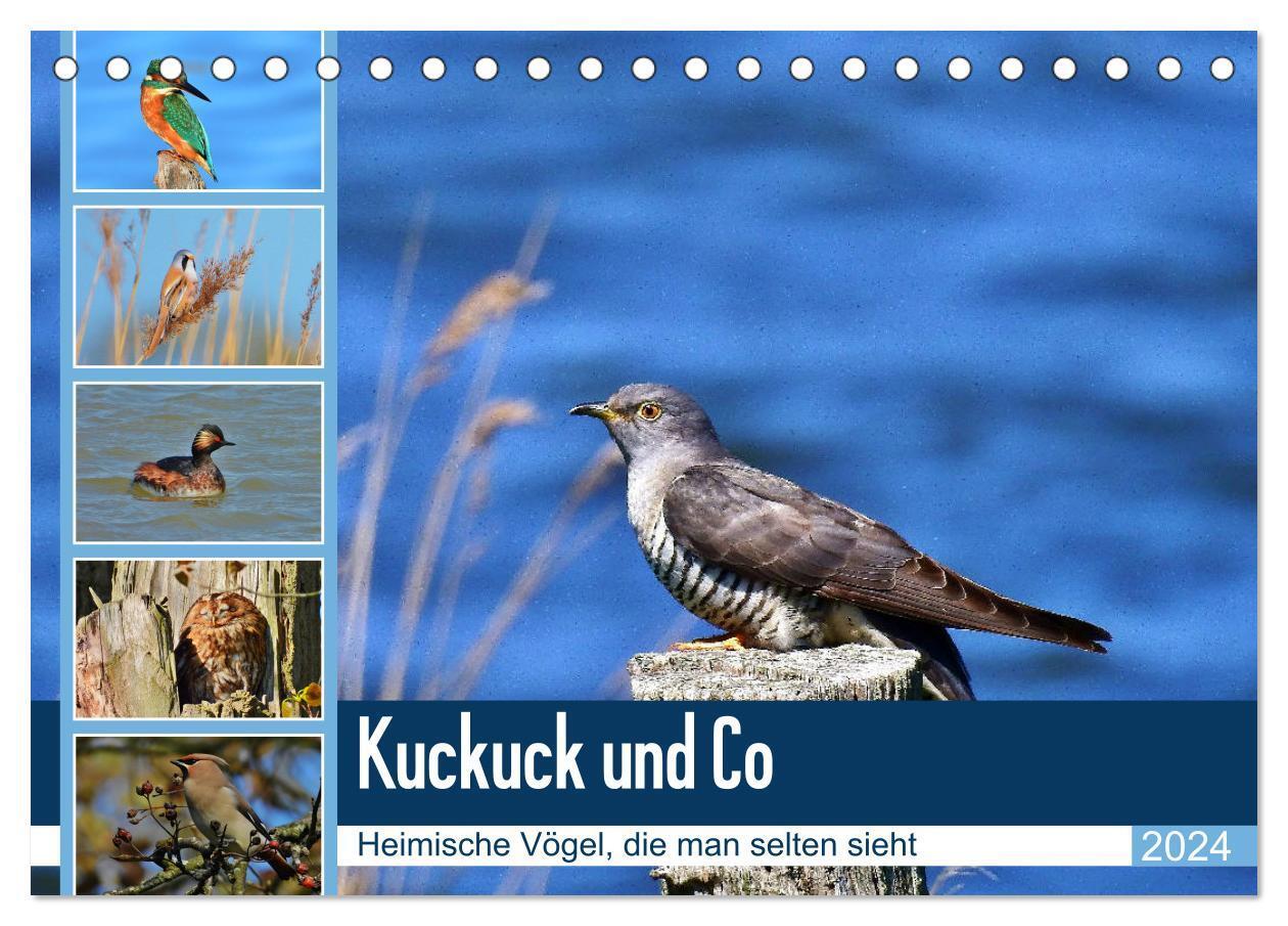 Cover: 9783383080326 | Kuckuck und Co - Heimische Vögel, die man selten sieht -...