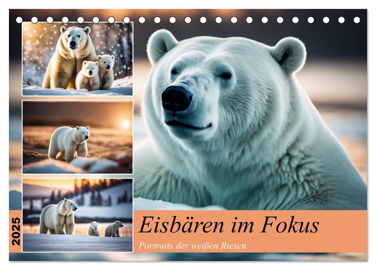 Cover: 9783383820052 | Eisbären im Fokus (Tischkalender 2025 DIN A5 quer), CALVENDO...