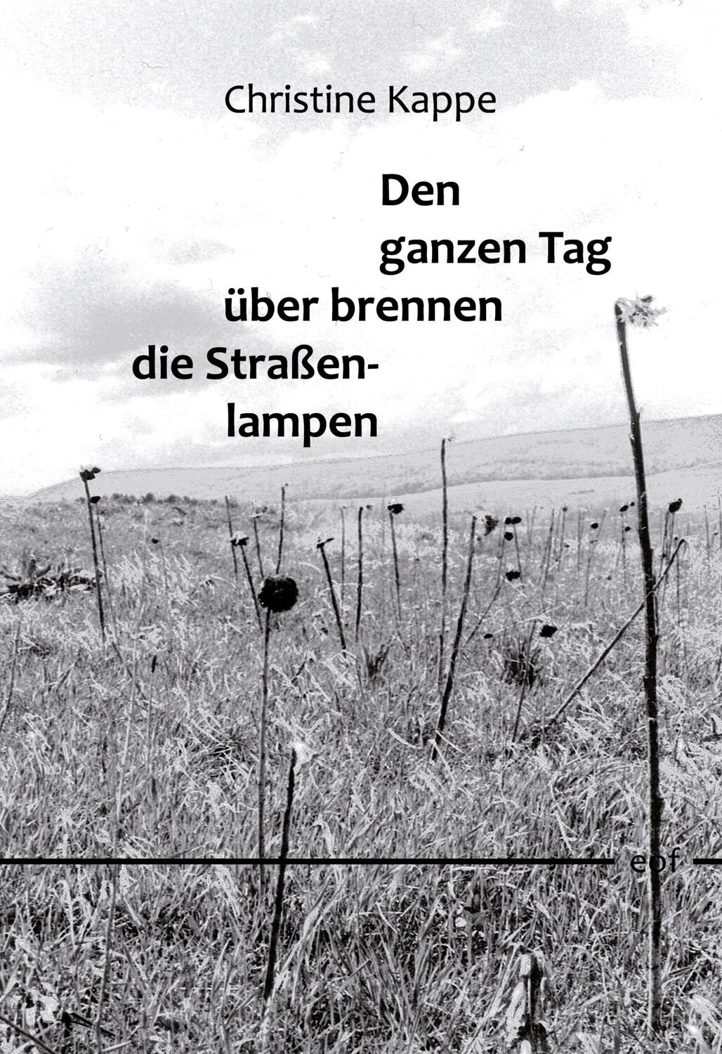 Cover: 9783756235049 | Den ganzen Tag über brennen die Straßenlampen | Gedichte | Kappe