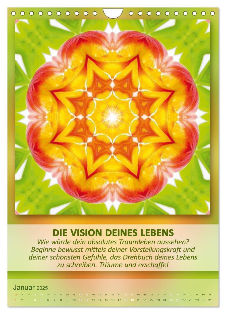 Bild: 9783457060971 | Light Energy Mandalas - Kalender - Vol. 2 (Wandkalender 2025 DIN A4...