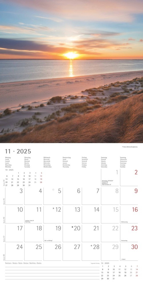 Bild: 4251732340872 | Alpha Edition - Summer Dreams 2025 Broschürenkalender, 30x30cm,...