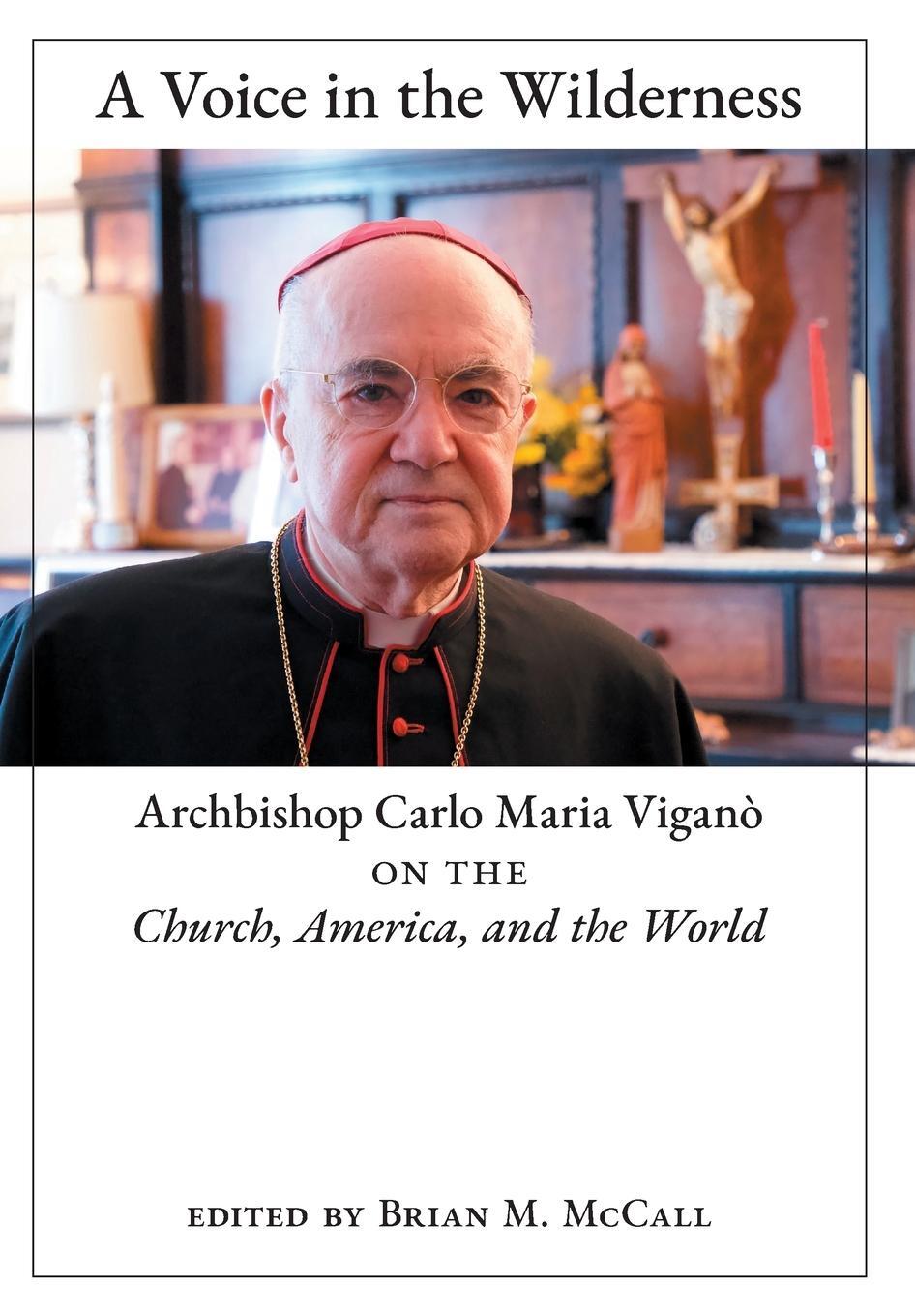 Cover: 9781621386971 | A Voice in the Wilderness | Archbishop Carlo Maria Viganò | Buch