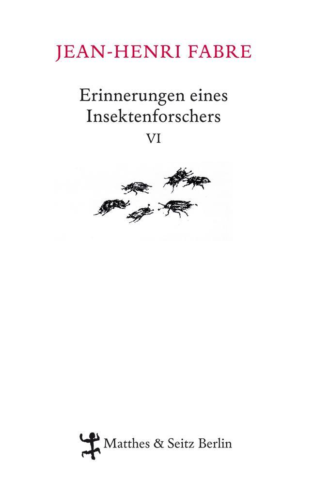 Cover: 9783882216769 | Erinnerungen eines Insektenforschers 06 | Souvenirs entomologiques 06
