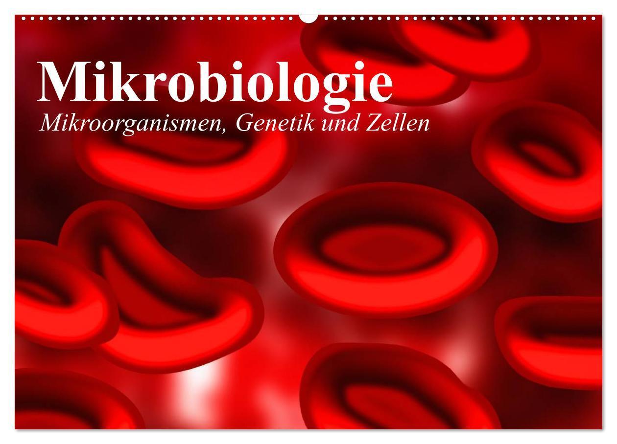 Cover: 9783435483334 | Mikrobiologie. Mikroorganismen, Genetik und Zellen (Wandkalender...