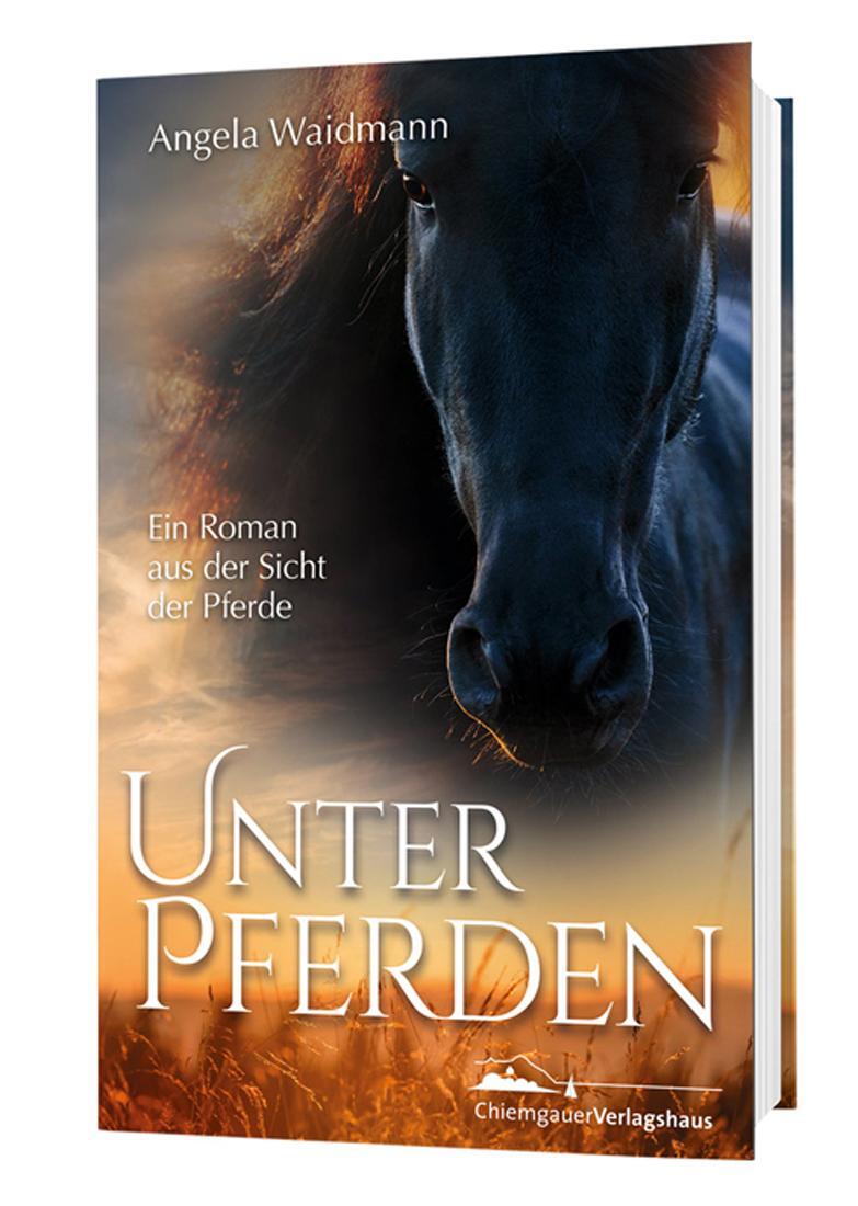 Cover: 9783945292396 | Unter Pferden | Ein Roman aus der Sicht der Pferde | Angela Waidmann