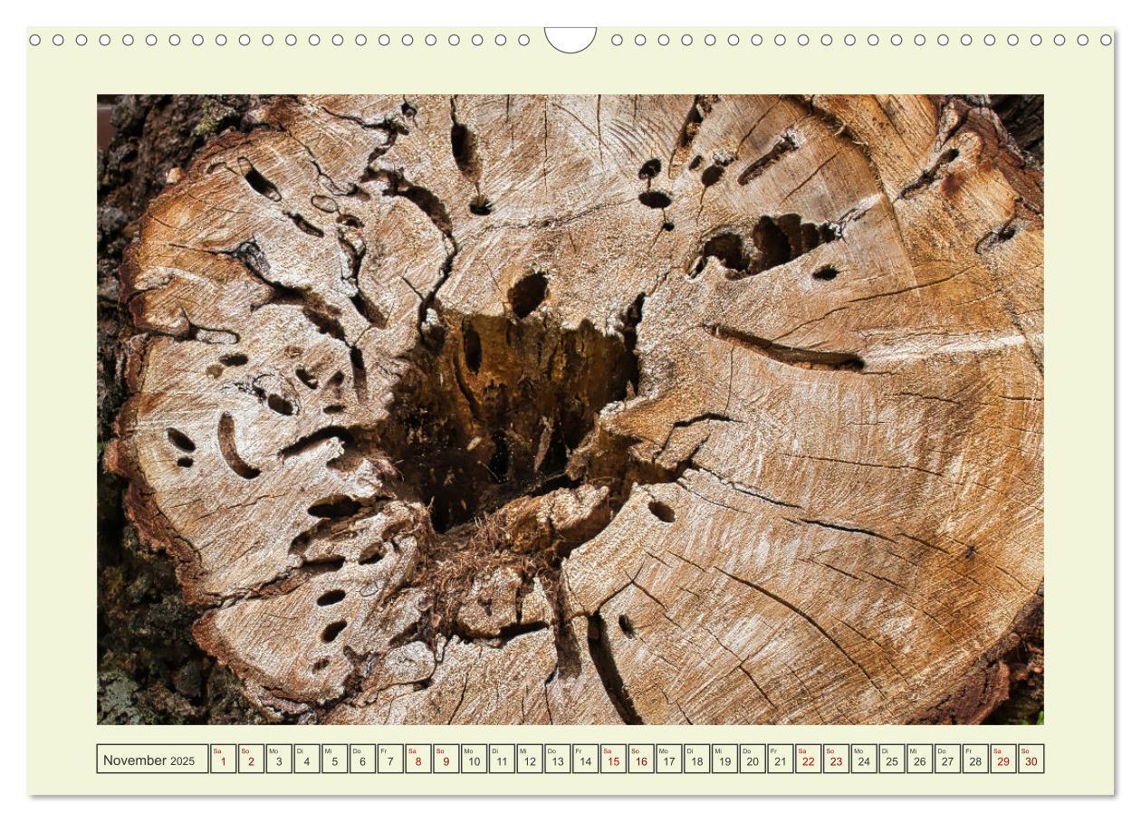 Bild: 9783435033119 | Einfach Holz (Wandkalender 2025 DIN A3 quer), CALVENDO Monatskalender