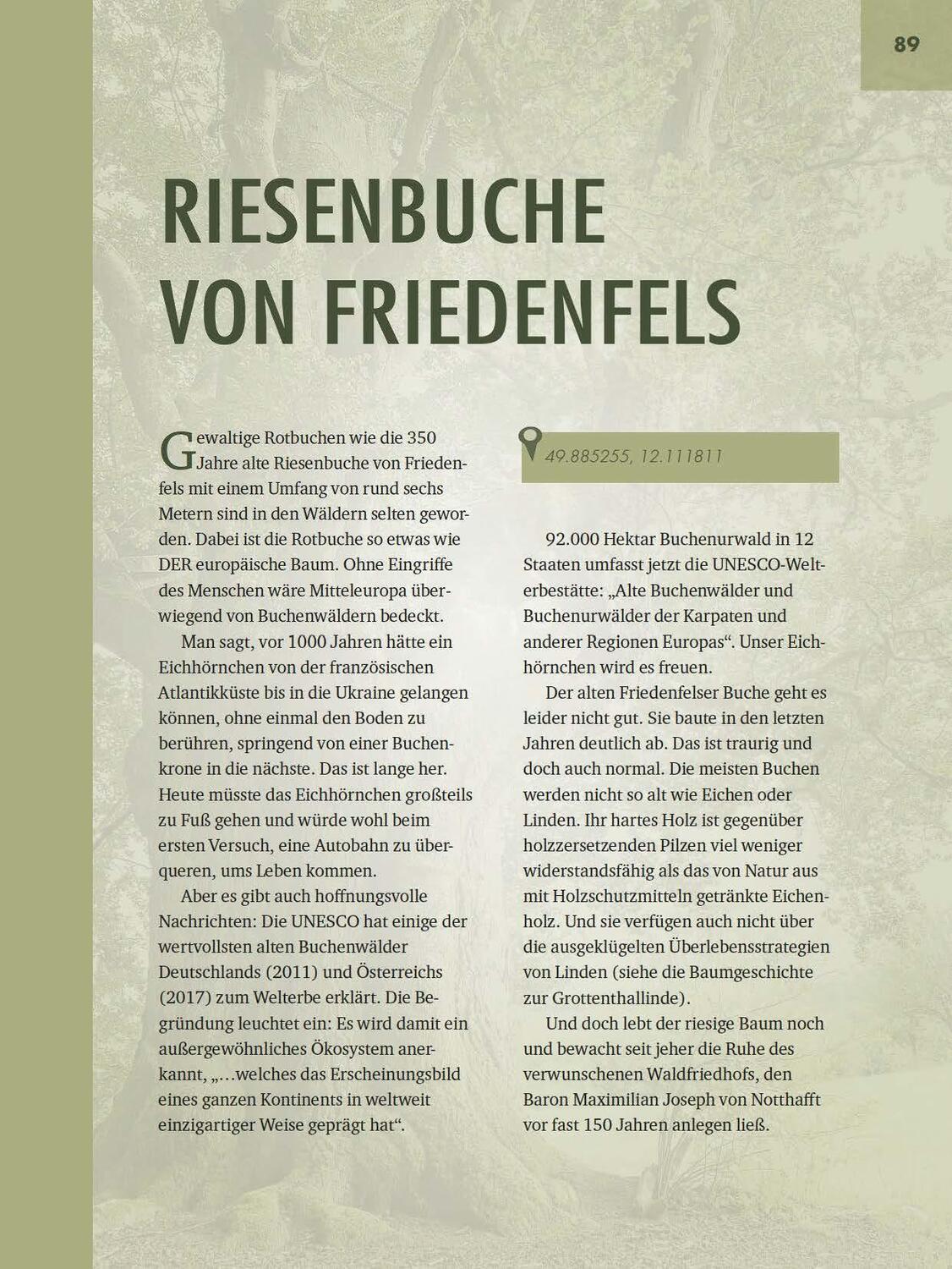 Bild: 9783955870942 | Faszinierende Bäume in der Oberpfalz | Jürgen Schuller | Buch | 176 S.