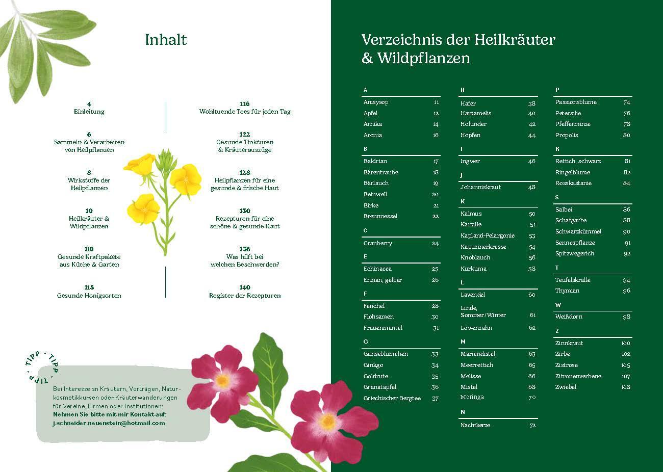 Bild: 9783708808345 | Heilen mit pflanzlichen Antibiotika | Jürgen Schneider | Taschenbuch
