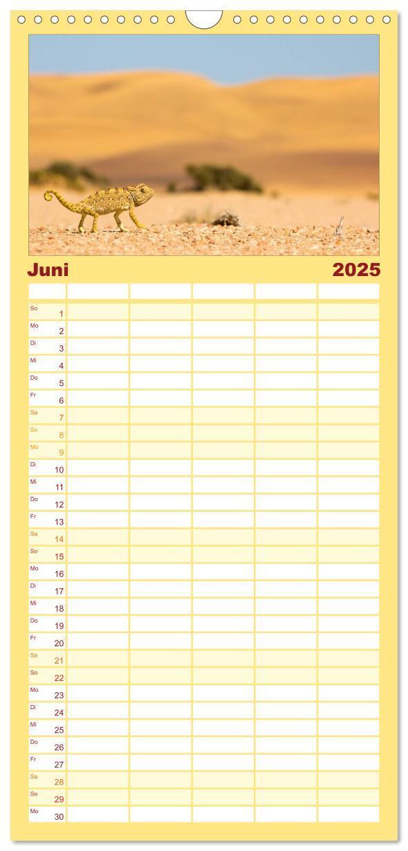 Bild: 9783457114551 | Familienplaner 2025 - Wildes Namibia mit 5 Spalten (Wandkalender,...