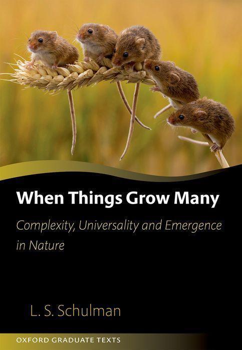 Cover: 9780198861881 | When Things Grow Many | Lawrence Schulman | Buch | Gebunden | Englisch