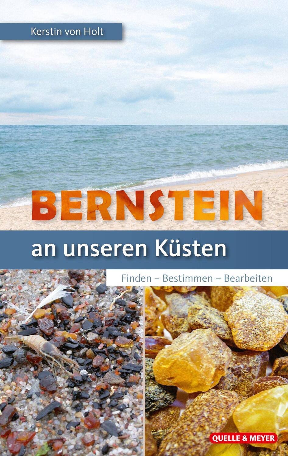 Cover: 9783494018690 | Bernstein an unseren Küsten | Finden - Bestimmen - Bearbeiten | Holt