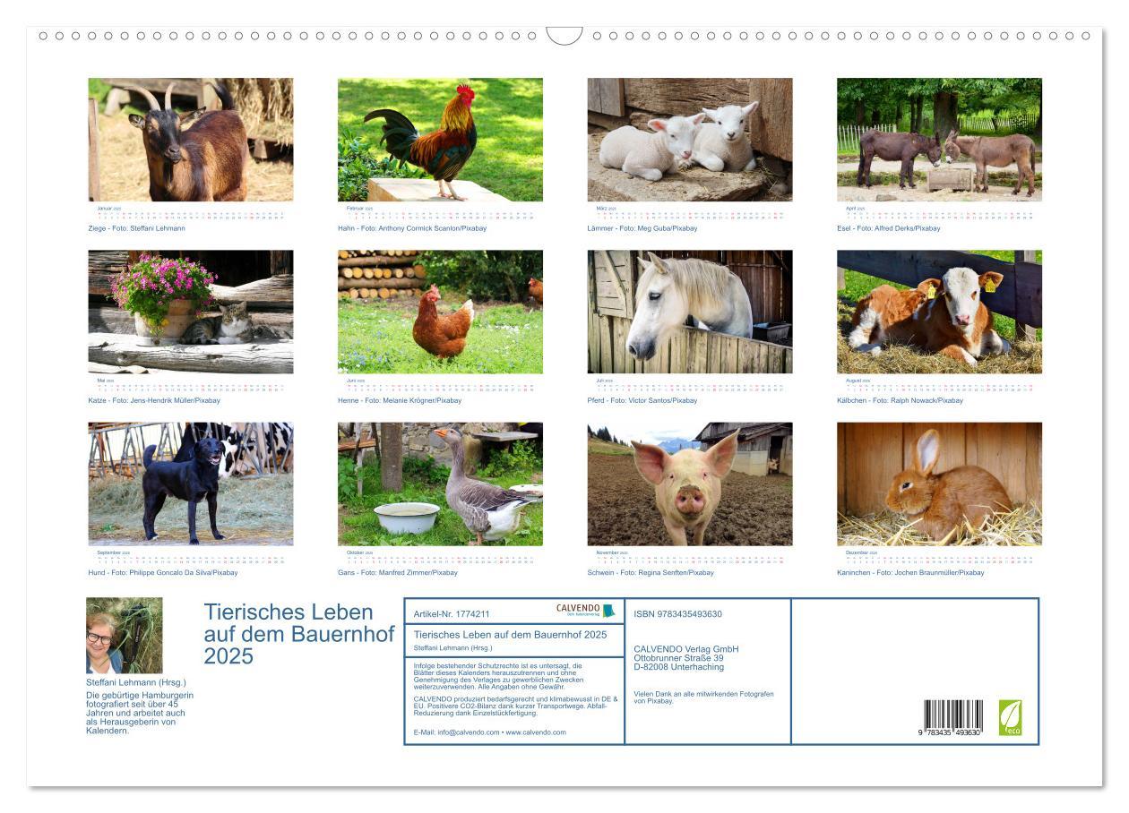 Bild: 9783435493630 | Tierisches Leben auf dem Bauernhof 2025 (Wandkalender 2025 DIN A2...