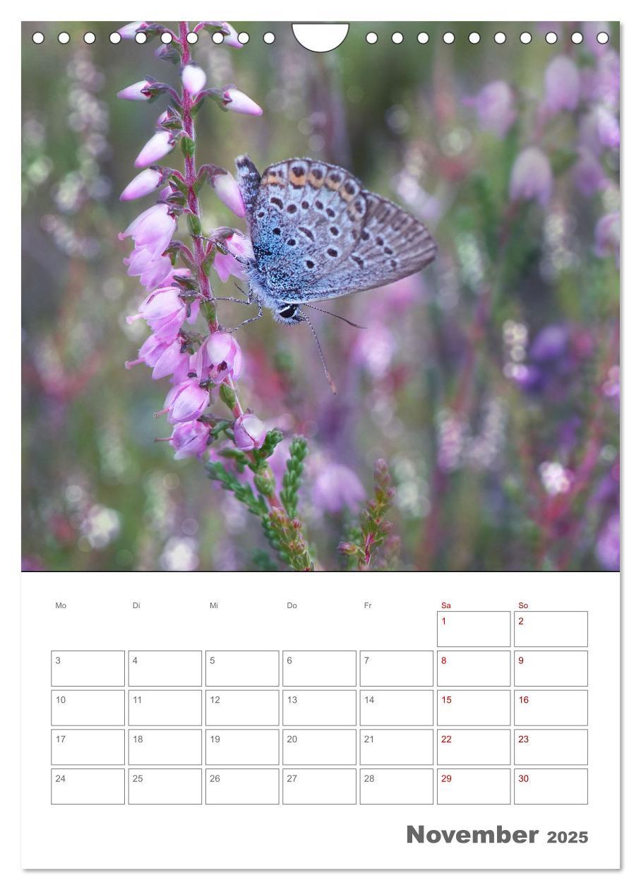 Bild: 9783435917648 | Helden in der Natur (Wandkalender 2025 DIN A4 hoch), CALVENDO...