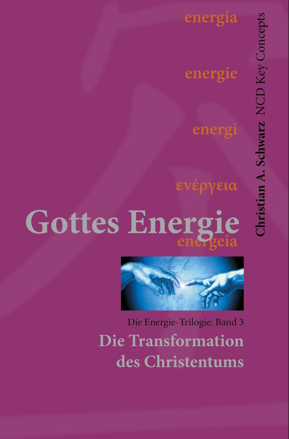 Cover: 9783928093323 | Gottes Energie Band 3 | Die Transformation des Christentums | Schwarz