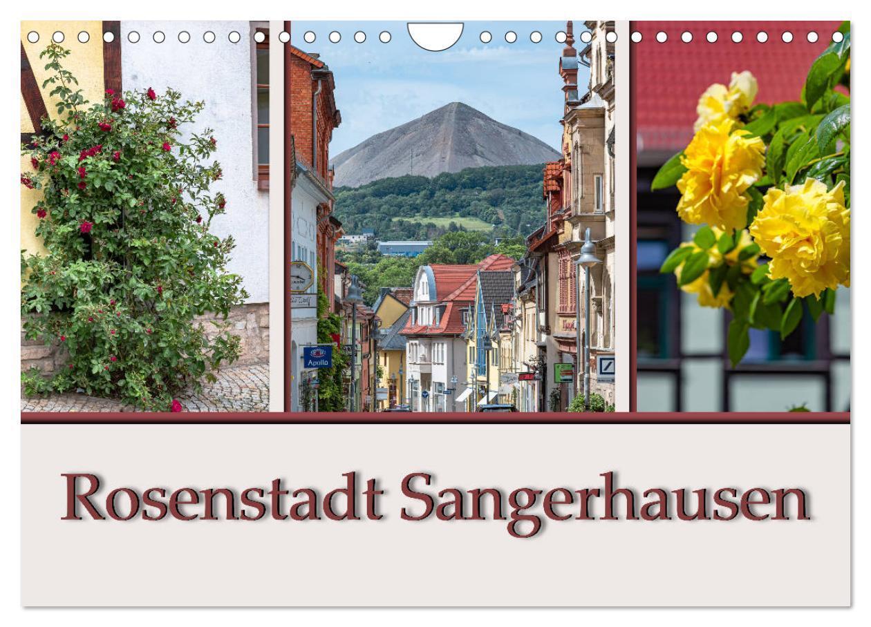 Cover: 9783675888012 | Rosenstadt Sangerhausen (Wandkalender 2024 DIN A4 quer), CALVENDO...