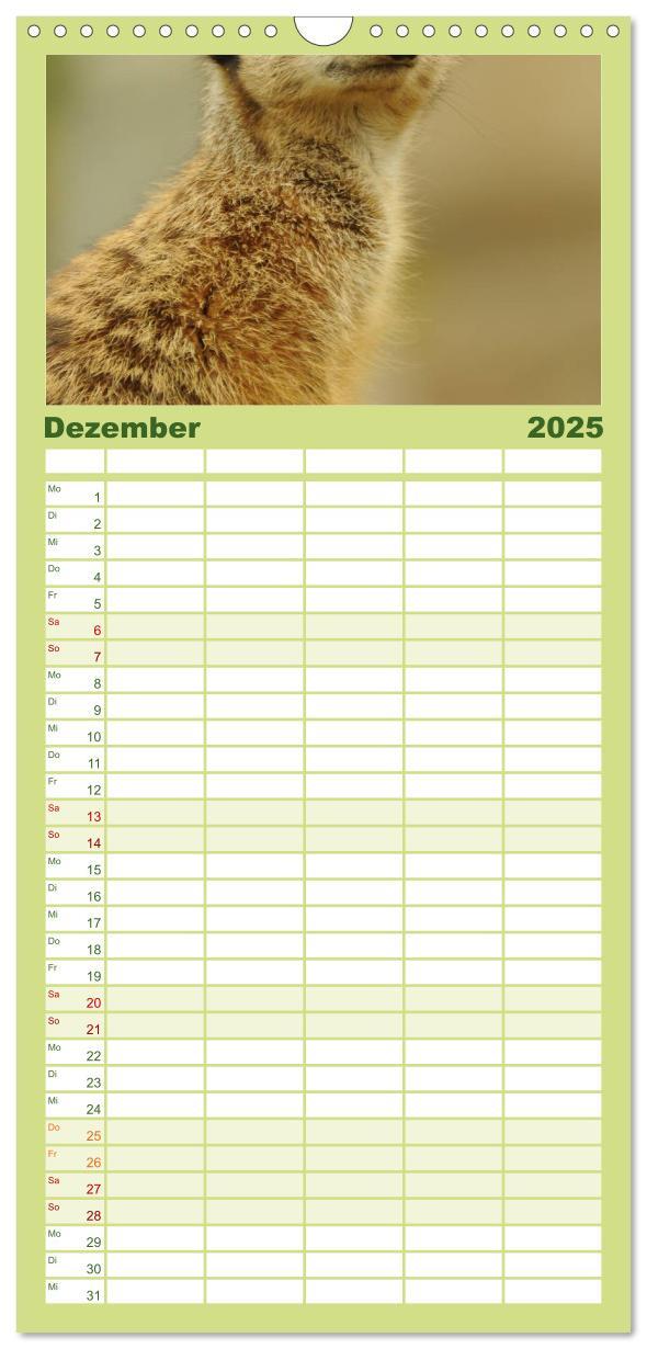 Bild: 9783457109656 | Familienplaner 2025 - Erdmännchen mit 5 Spalten (Wandkalender, 21 x...