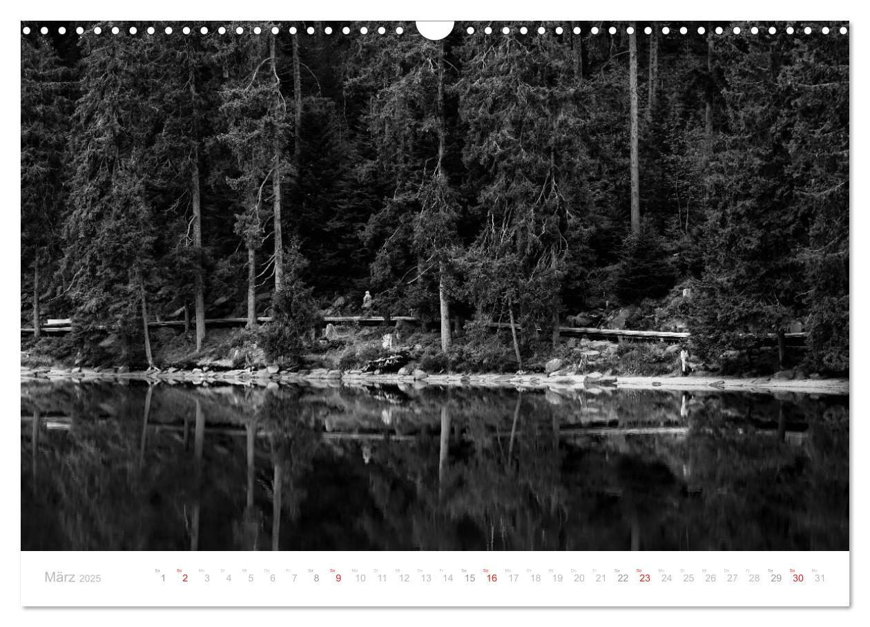 Bild: 9783435514540 | Mystischer Schwarzwald (Wandkalender 2025 DIN A3 quer), CALVENDO...