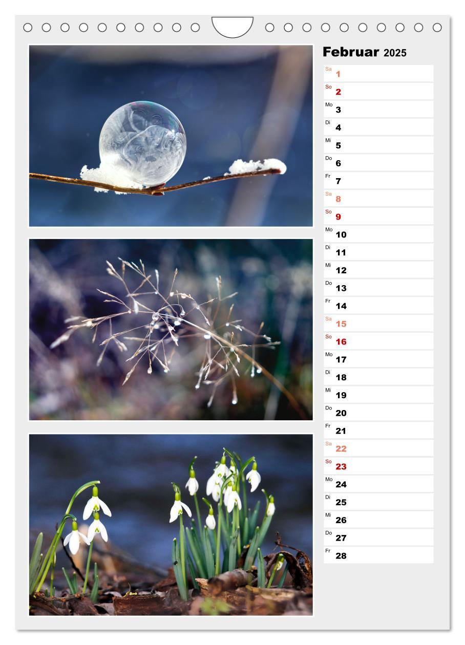 Bild: 9783435889877 | Zauberhafte Farben der Natur (Wandkalender 2025 DIN A4 hoch),...