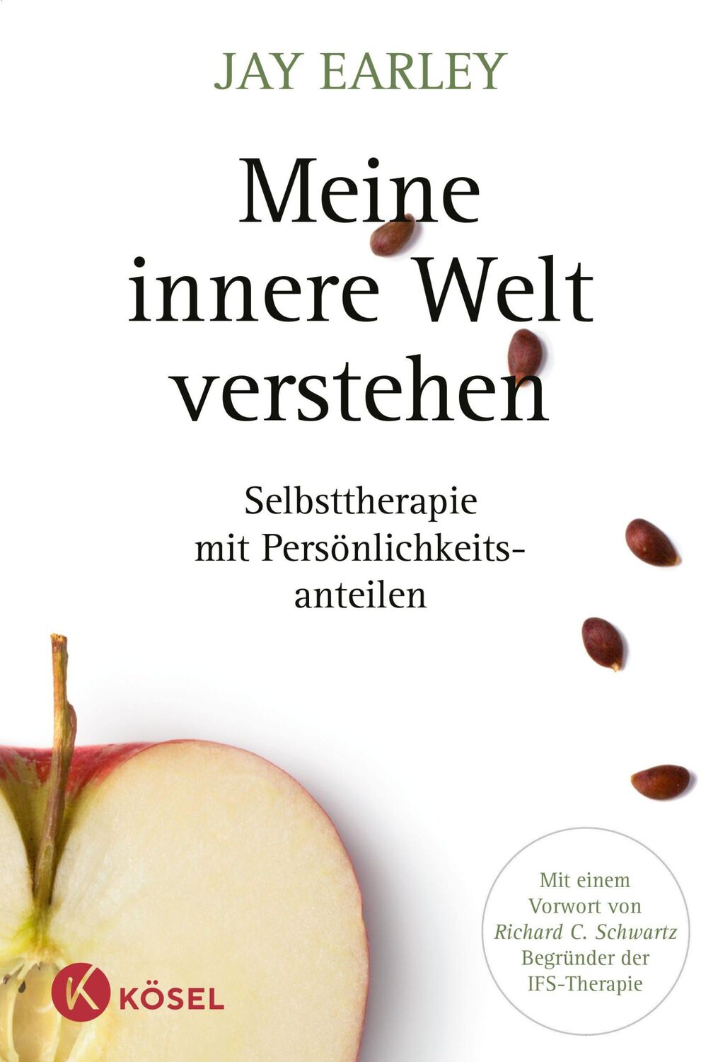 Cover: 9783466310043 | Meine innere Welt verstehen | Jay Earley | Taschenbuch | 400 S. | 2014