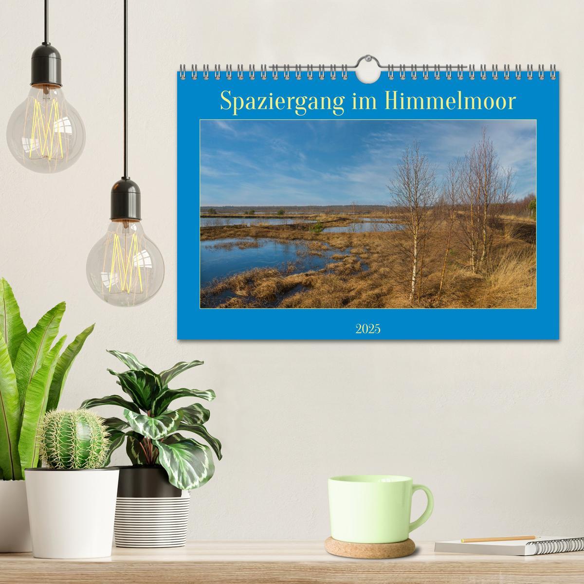 Bild: 9783383915932 | Spaziergang im Himmelmoor (Wandkalender 2025 DIN A4 quer), CALVENDO...