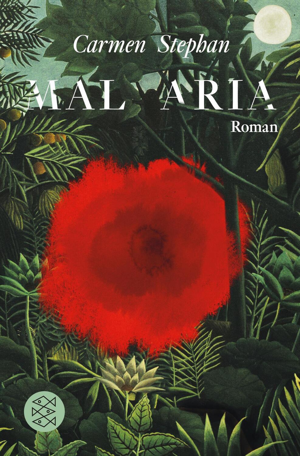 Cover: 9783596195251 | Mal Aria | Roman | Carmen Stephan | Taschenbuch | Deutsch | 2013