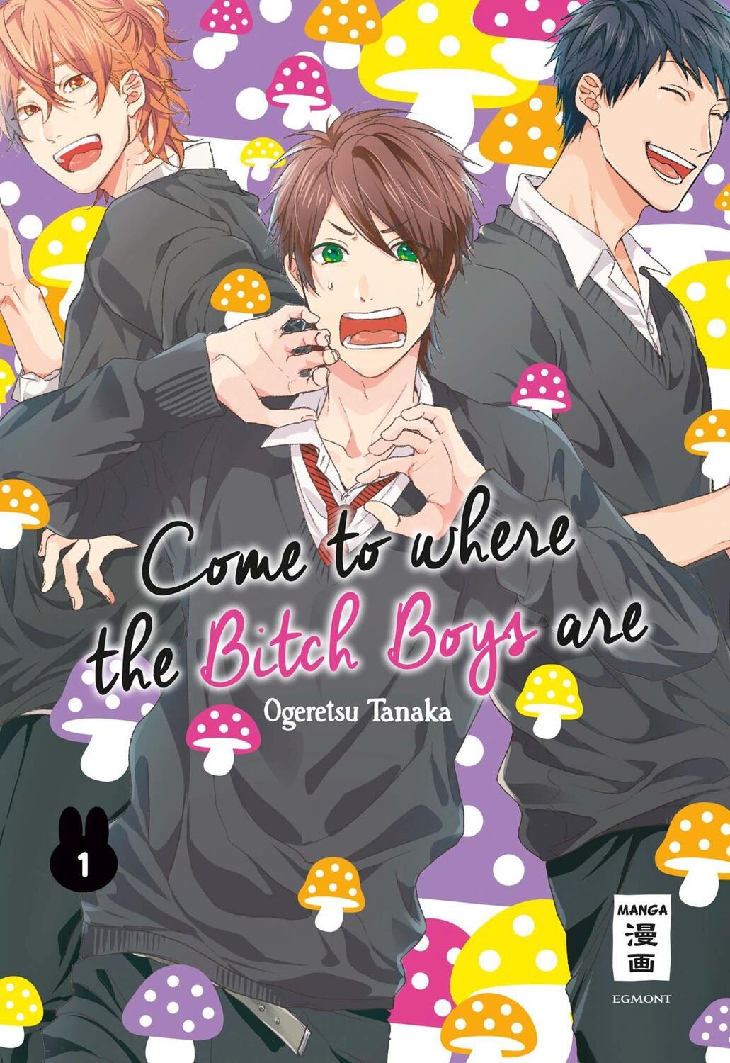 Cover: 9783770495887 | Come to where the Bitch Boys are 01 | Ogeretsu Tanaka | Taschenbuch