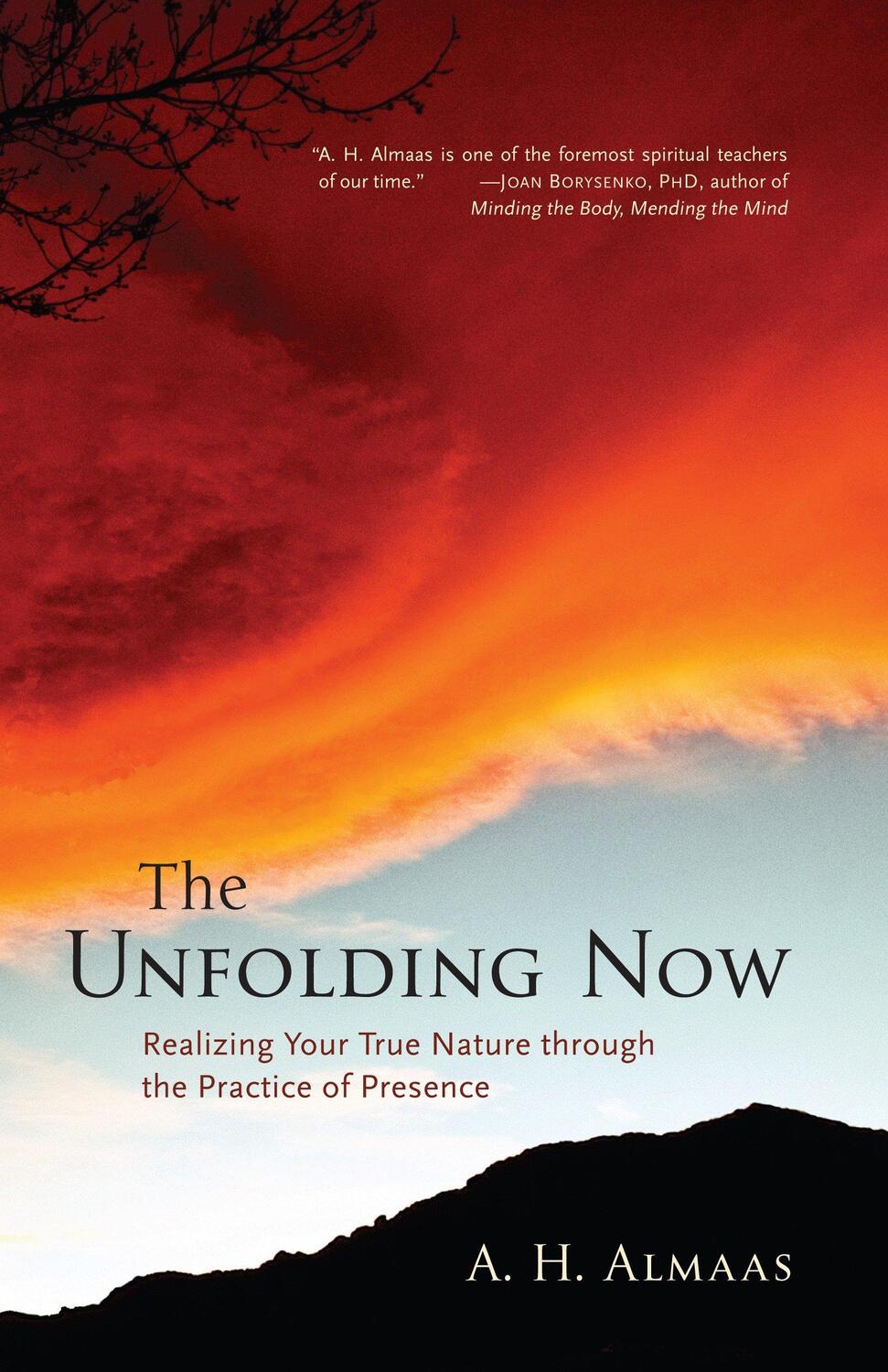 Cover: 9781590305591 | The Unfolding Now: Realizing Your True Nature Through the Practice...