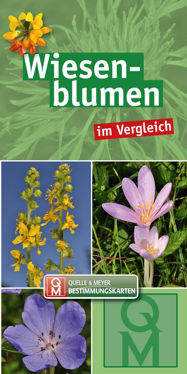 Cover: 9783494019314 | Wiesenblumen im Vergleich - 10er-Set | Quelle &amp; Meyer Verlag | Buch