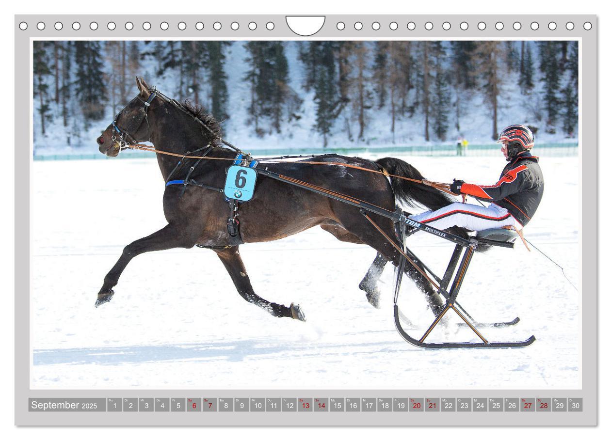 Bild: 9783435058884 | Pferde-Rennen auf Schnee und im Wasser (Wandkalender 2025 DIN A4...