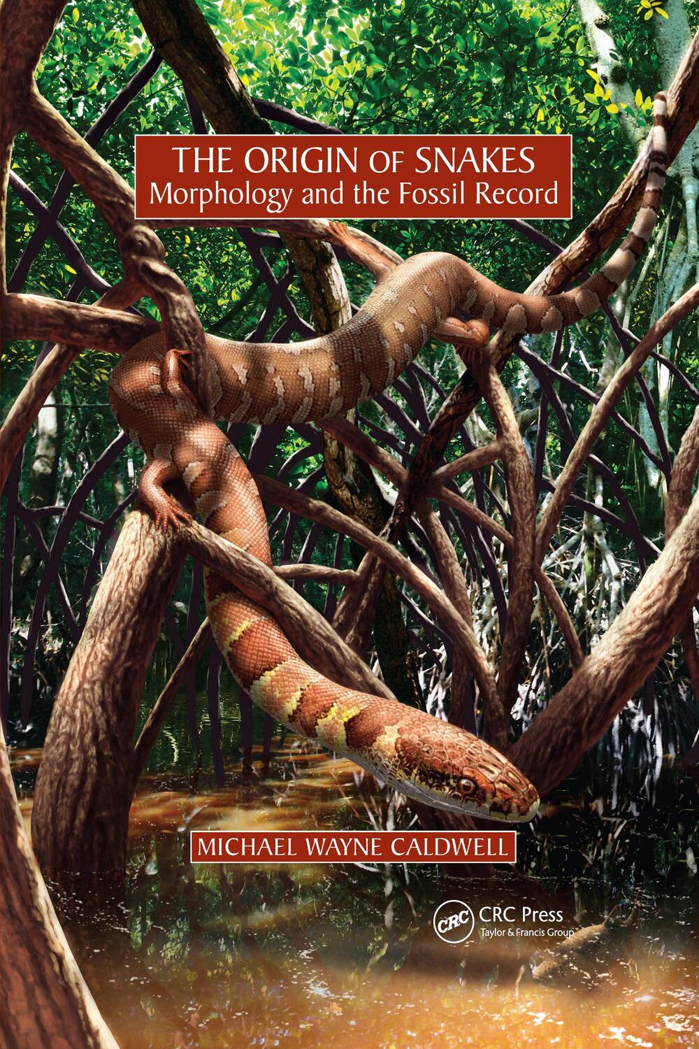 Cover: 9781032177694 | The Origin of Snakes | Morphology and the Fossil Record | Caldwell