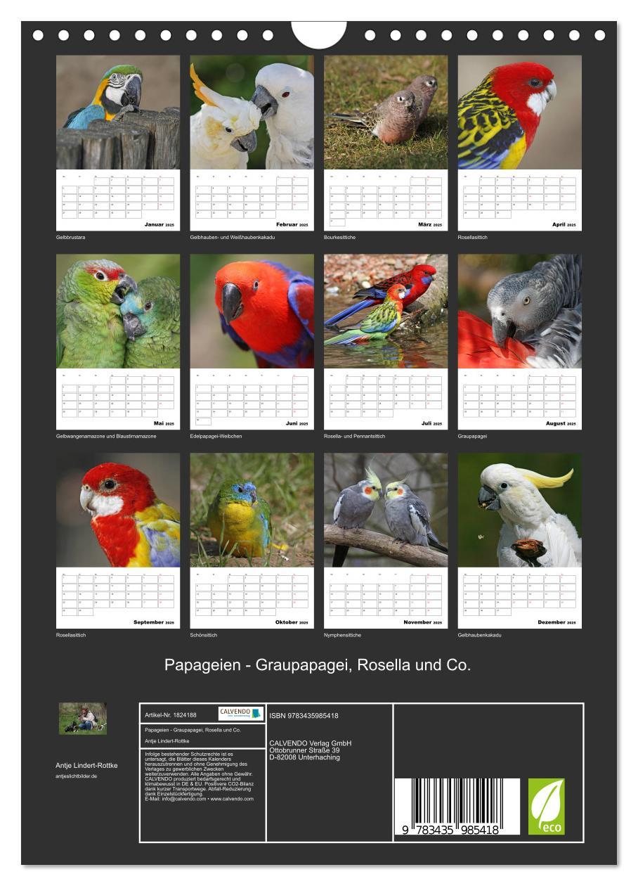 Bild: 9783435985418 | Papageien - Graupapagei, Rosella und Co. (Wandkalender 2025 DIN A4...