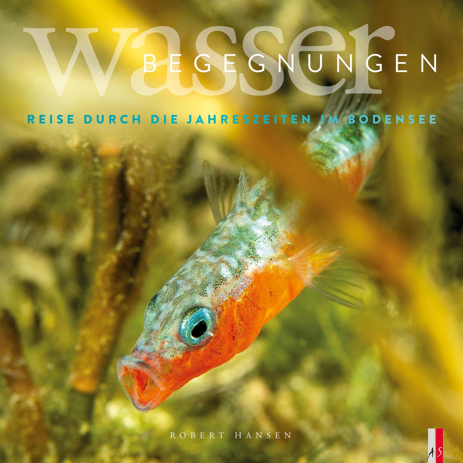 Cover: 9783039130221 | Wasser Begegnungen | Eine Reise durch die Jahreszeiten im Bodensee