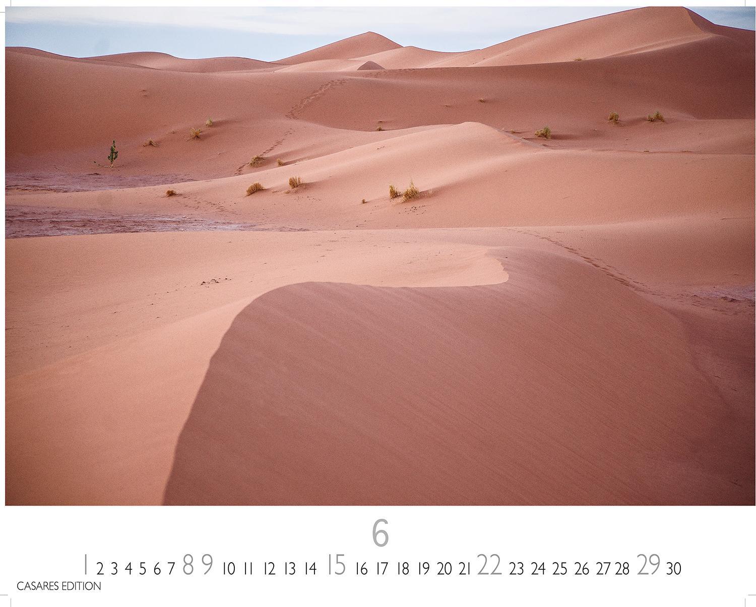 Bild: 9781835240533 | Sahara 2025 S 24x35 cm | Kalender | 14 S. | Deutsch | 2025