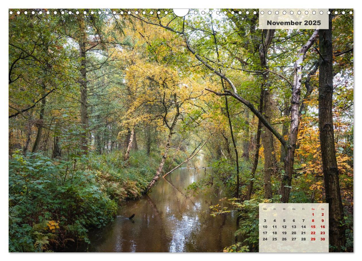 Bild: 9783383922626 | Ein Jahr Niederrhein Wiesen und Wälder (Wandkalender 2025 DIN A3...