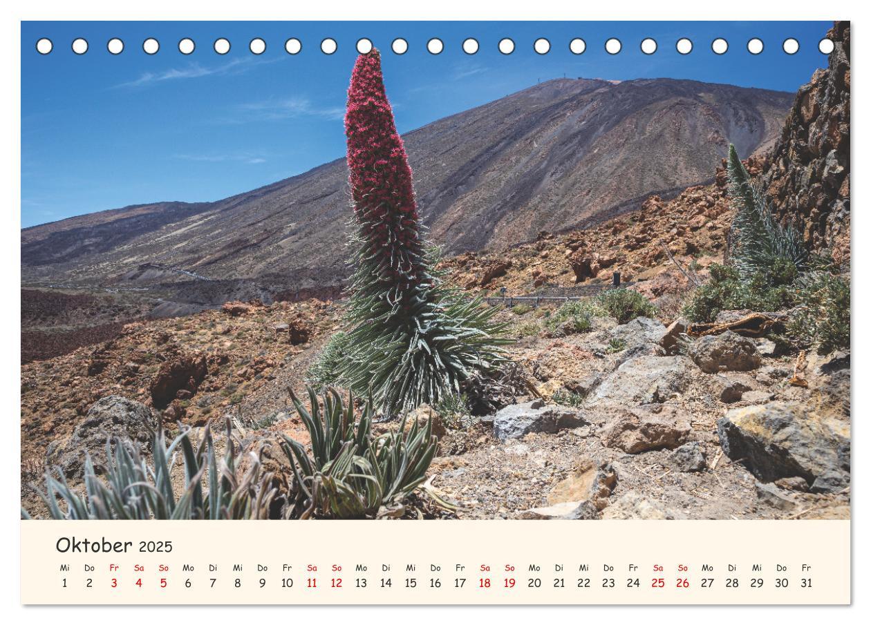 Bild: 9783435121571 | Teneriffa in Bildern (Tischkalender 2025 DIN A5 quer), CALVENDO...