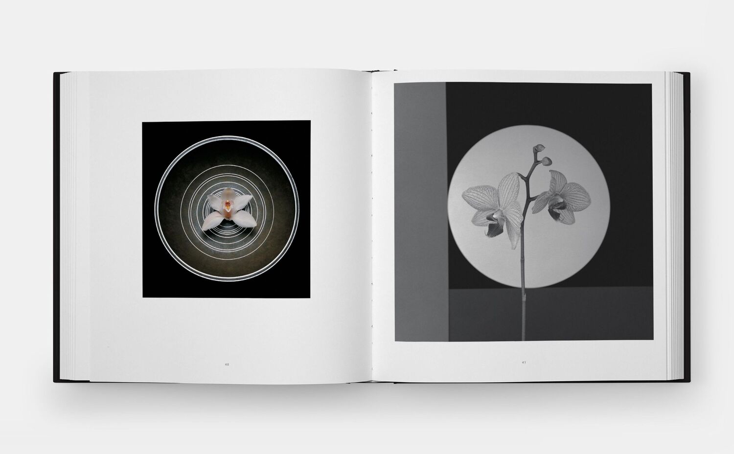 Bild: 9781838668211 | Mapplethorpe Flora | The Complete Flowers | Mapplethorpe (u. a.)